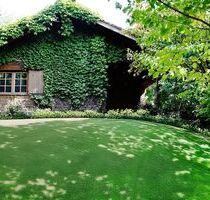 **RESERVIERT** Romantisches Blockhaus in naturnaher Odenwaldlage, auf ca. 900 m² Grundstück - Lützelbach