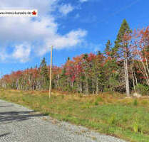 Cape Breton - Traumhaft schöne Atlantik-Lage - Preiswerte Bau-Grundstücke mit Zugang zum Meer - Louisdale