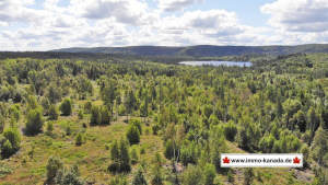 Nova Scotia - Guysborough County - 47 Hektar-Areal zwischen McCarthy Lake und Tait Lake - Driveway vorhanden - Baufläche vorbereitet - Schöner Bachlauf auf dem Grundstück - Smithfield