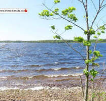 Cape Breton - Wunderschönes See-Ufer-Areal mit 11 Hektar nahe einem herrlichem Atlantik-Strand - Pondville