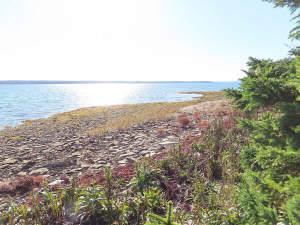 Cape Breton - 31 Hektar in traumhaft schöner Atlan - 