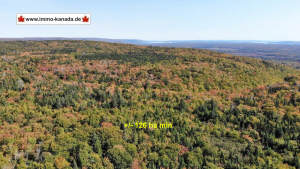 Cape Breton - Melford - rd. 126 Hektar großes Mischwald-Areal auf einer wunderschönen Hochebene zwischen Port Hawkesbury und Baddeck