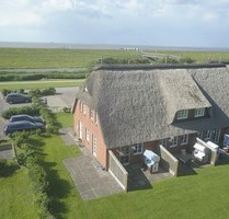 Festpreis! Ferienhaus unter Reet direkt am Nordseedeich. - Nordstrand