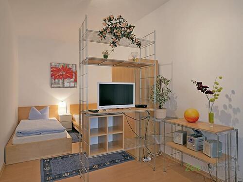 Raumteiler, TV und Bett - (EF0670_M) Jena: Süd, kleines möbliertes Apartment für Berufspendler, WLAN inklusive