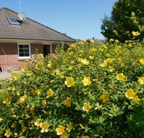 Schön gelegener und gepflegter Bungalow in ruhiger Lage in 24972 Steinbergkirche zu verkaufen.