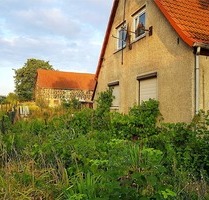 unsanierte Doppelhaushälfte auf 2.619 qm großem Grundstück + im Umkreis von Halle (Saale) - Teutschenthal Bundesweit - Sachsen-Anhalt - Saalekreis - Teutsch