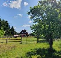 Modern und neuwertig * EFH mit Wärmepumpe und 1,1ha Grünland - Dömitz Heidhof