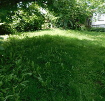 Sonniges Baugrundstück in 83404 AinringHammerau - kein Bauzwang - derzeit 6.120 Euro Mieteinnahmen
