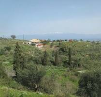 Bauland mit Terrassen und Olivenbäumen Peloponnes - Koroni