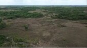 Bild 4 - Grundstück in Viseu Pará zum Kaufen