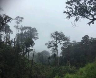 Wunderschöne Landstück im Ecuador´s Tropischer Wald - Intag