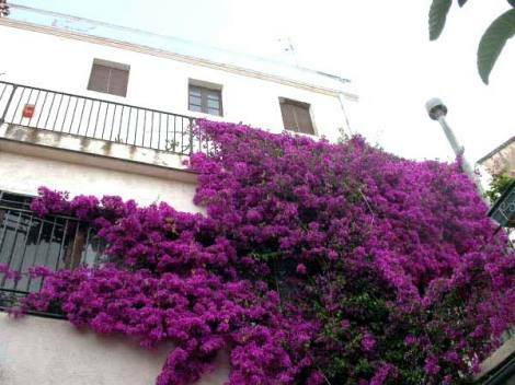 Bild 4 - Einfamilienhaus mit 960,00 m² in Tarragona zum Kaufen