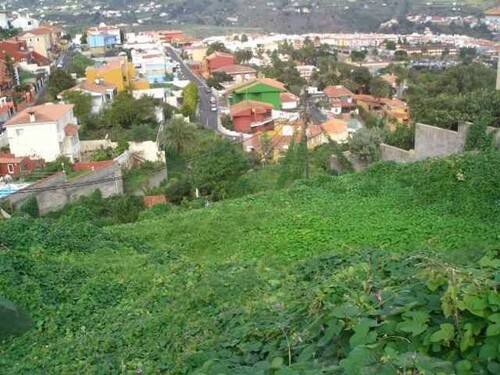 Bild 2 - Grundstück zum Kaufen in Santa Brígida