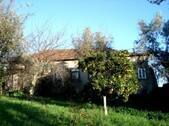 Bild 1 - Herrschaftliches Dorfhaus mit einem reichhaltigen Obstgarten