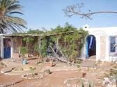 Bild 2 - 4 Zimmer Einfamilienhaus zum Kaufen in Essaouira