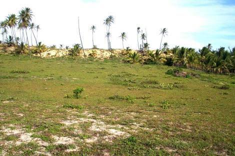 Bild 1 - Strandgrundstück in Bahia - 55.000,00 EUR Kaufpreis, ca.  6.000,00 m²