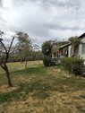 Bild 4 - Bauernhaus, Landhaus mit 50,00 m² in Ag.Nikolaos Olenia zum Kaufen