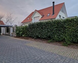 Grosses Einfamilienhaus in Aargau zu verkaufen - Lupfig
