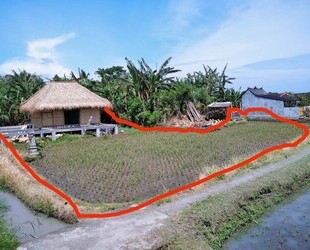 Land für Langzeitpacht auf Bali Tabanan - Banjar Betanyuh