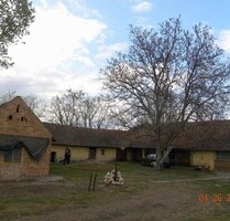 Süd- Ungarn ein Bauernhof mit 3 ha Land - Kiskunmajsa