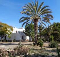 Gewerbeobjekt (Büro, Produktion, Verkauf) in Vera