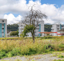 Sonniger Bauplatz für eine großzügige Doppelhaushälfte mit Baugenehmigung - Gaggenau / Ottenau