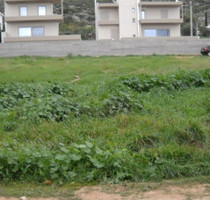 Grundstück Land Kaufen, , Vari- Varkiza (Athen Süd),