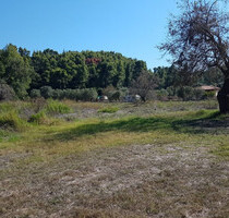 Grundstück Land Kaufen, , Pallini (Chalkidiki),