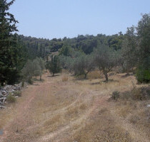 Grundstück Land Kaufen, , Koropi (Athen Ost),