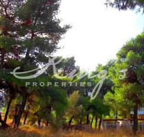 Grundstück Land Kaufen, , Stamata (Athen Nord),