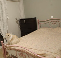 Wohnung Kaufen, , Neos Kosmos (Athen Zentrum),