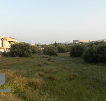Grundstück Land Kaufen, , Koropi (Athen Ost),