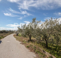 Grundstück Land Kaufen, , Artemida (Pilio),