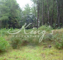 Grundstück Land Kaufen, , Lykovrysi (Athen Nord),