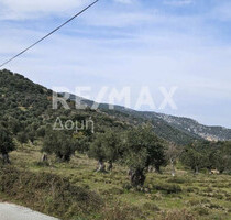 Grundstück Land Kaufen, , Skiathos (Sporades),