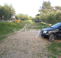 Grundstück Land Kaufen, , Acharnes (Athen West),