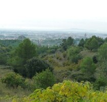 albero:) Panoramalage im Priorat - umständehalber bis 31.12. zum Schnäppchenpreis - Castellvell del Camp Katalonien