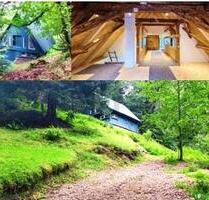 IDYLLISCH UND ROMANTISCH - 400.000,00 EUR Kaufpreis, ca.  150,00 m² Wohnfläche in Lauterbach (PLZ: 78730)