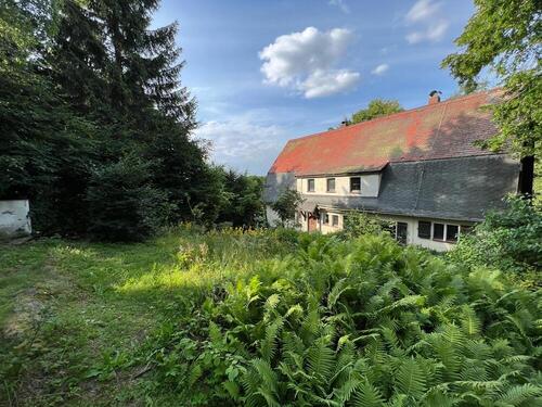 Sommer in Holzhau - Einfamilienhaus mit 210,00 m² in Rechenberg-Bienenmühle zum Kaufen