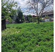 sehr großes Grundstück, Ortsmitte - bebaut mit älterem Wohnhaus und verschiedenen Ökonomiegebäuden - Neuried Altenheim