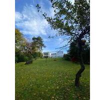 Provisionsfrei* Großräumiges Architektenhaus mit wundervollem Garten und Einliegerwohnung am Stadtrand - Bad Mergentheim