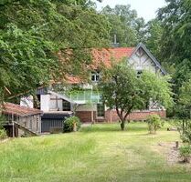 Provisionsfrei* Einzigartiges Forsthaus mit Nebenhaus in der Mitte Deutschlands, Alleinlage, ökologisch saniert - Gudensberg