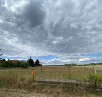 Das Naturschutzgebiet ist nahe Ihrem Baugrundstück - Wandlitz