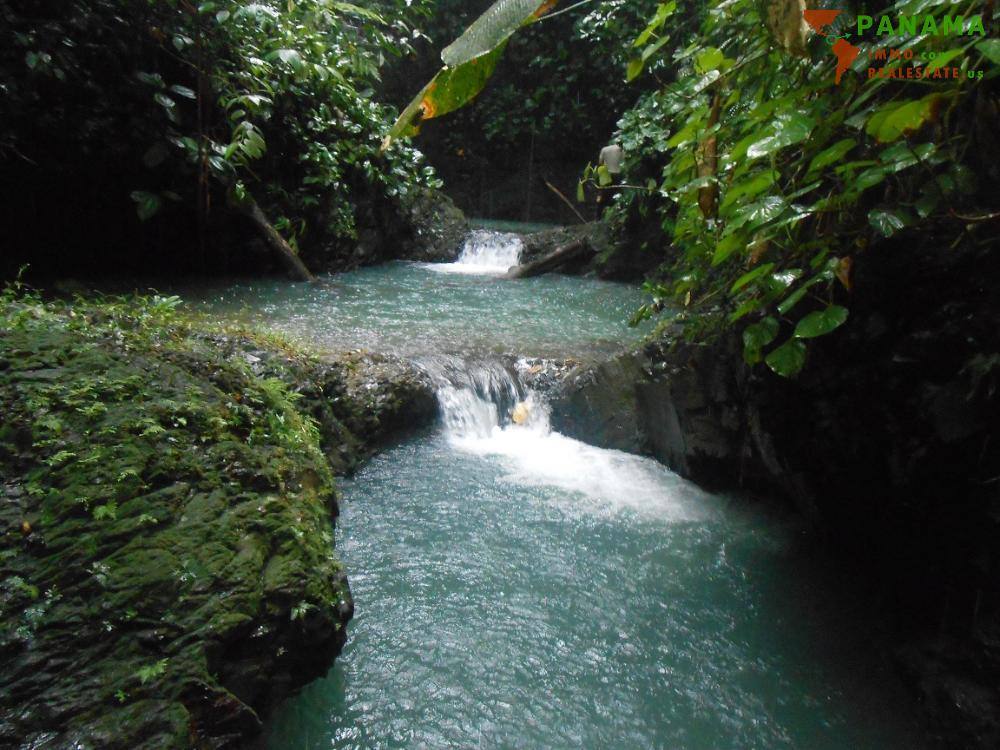 COSTA-RICA: Farm mit 31 ha, schönen Wasserfällen und viel Urwald bei la Julieta - Costa Rica