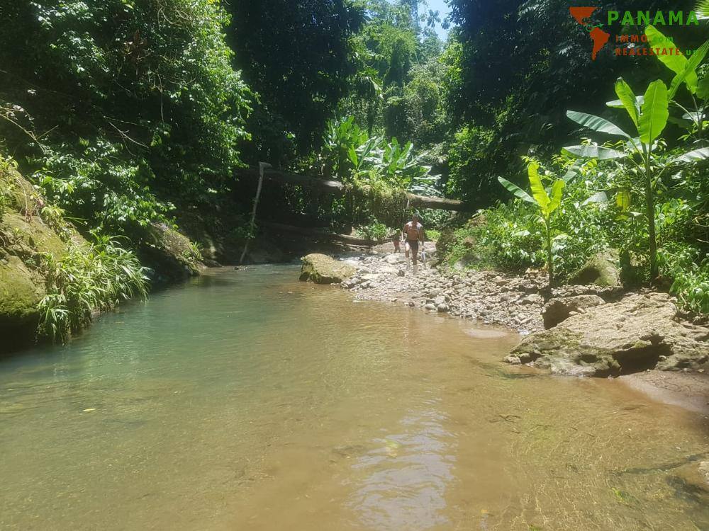 COSTA-RICA: Urwald Farm mit 31 ha Farm, Wasserquellen, Bächen bei Cahuita-Carbon - Costa Rica