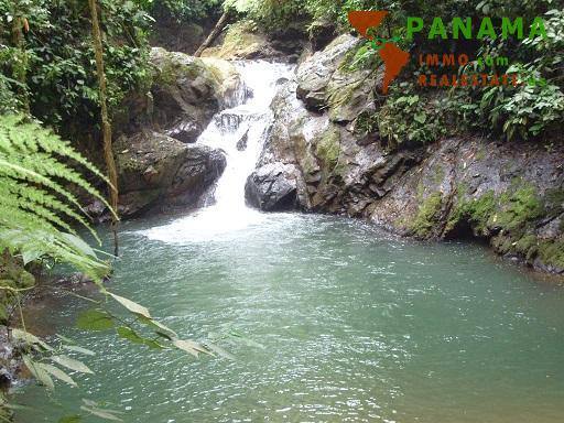 COSTA-RICA: wunderschöne Naturfarm von 164 ha, mit vielen Wasserfällen und Urwald - Golfito - Pazifik Süd