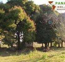 Paraguay: Natur belassenes Grundstück mit individueller Neubebauung - Piribebuy
