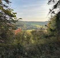 Zurück zur Natur -Ferienhaus mitten im Wald - Jenaprießnitz