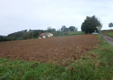 Blick von der Kreisstraße auf das Flurstück - Grundstück in Bodenfelde