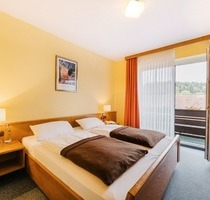 Stadthotel in Urlaubsregion - 1.950.000,00 EUR Kaufpreis, ca.  2.600,00 m² in Braunlage (PLZ: 38700)